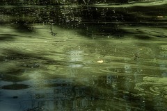 AlanKlughammer.com_20240927-_8505870