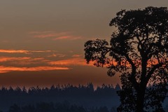 Sunrise over Saanich