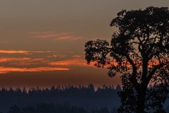 Sunrise over Saanich