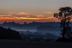 AlanKlughammer.com_20241013-_8505921-HDR