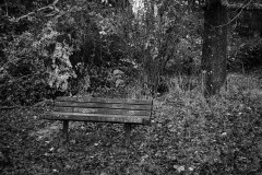 AlanKlughammer.com_20241111-_8505992