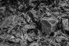 AlanKlughammer.com_20241116-_8506022