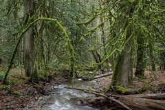AlanKlughammer.com_20241116-_8506028