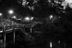 AlanKlughammer.com_20241123-_AZ70014