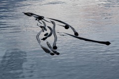 AlanKlughammer.com_20241123-_AZ70035