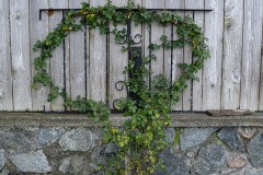 AlanKlughammer.com_20241123-_AZ70087