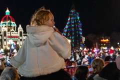 Magic of Christmas #2