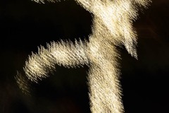 AlanKlughammer.com_20241130-_AZ70183