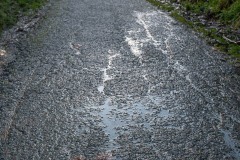 AlanKlughammer.com_Exquimalt-70346
