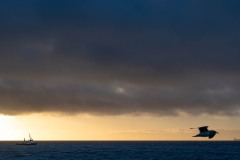 AlanKlughammer.com_Exquimalt-70390