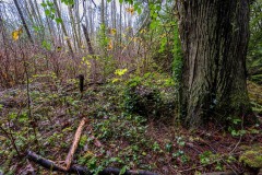 AlanKlughammer.com_Exquimalt-70419-HDR