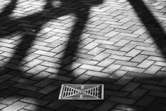 Draining the Shadows