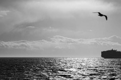 AlanKlughammer.com_Exquimalt-70496