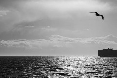 AlanKlughammer.com_Exquimalt-70496