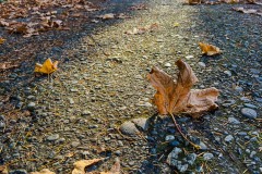 AlanKlughammer.com_IMG_1374