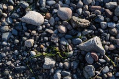 AlanKlughammer.com__AZ70230