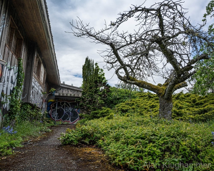AlanKlughammer.com_20250510-_AZ73196