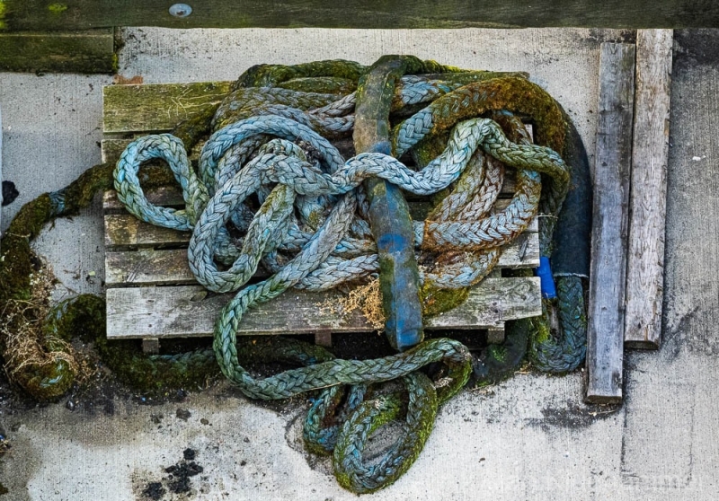 AlanKlughammer.com_20250628-_AZ73423