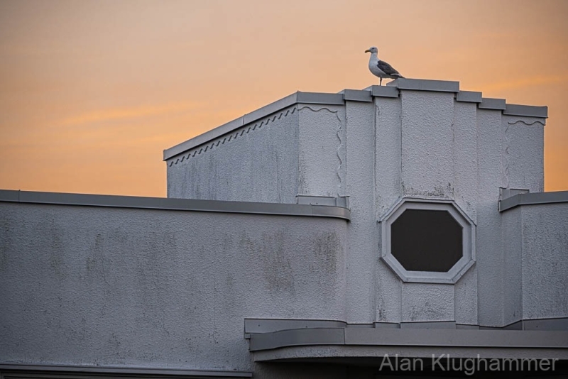 AlanKlughammer.com_20250803-_AZ73802