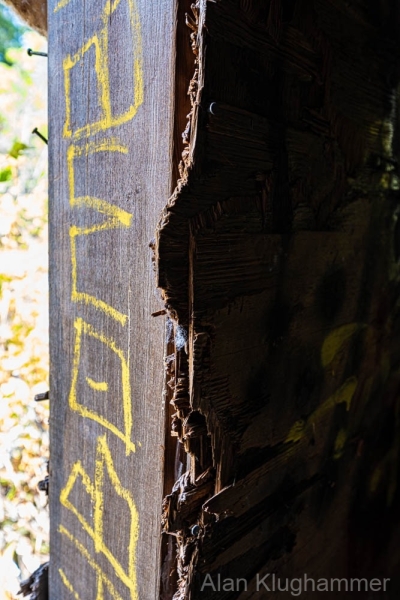 AlanKlughammer.com_20250809-_AZ74035