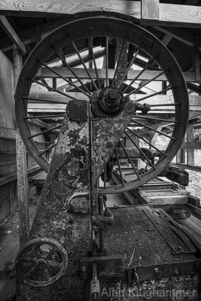 AlanKlughammer.com_20250809-_AZ74060