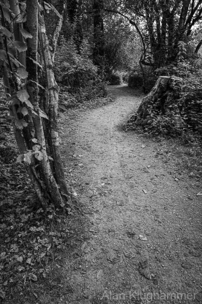 AlanKlughammer.com_20250908-_AZ74262