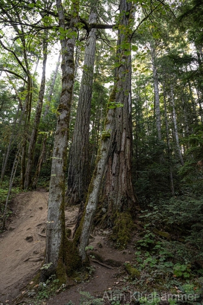 AlanKlughammer.com_20250911-_AZ74412