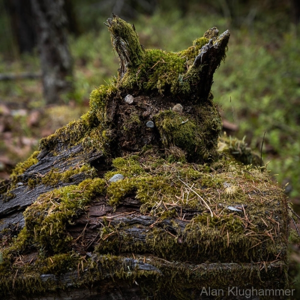 AlanKlughammer.com_20250911-_AZ74416