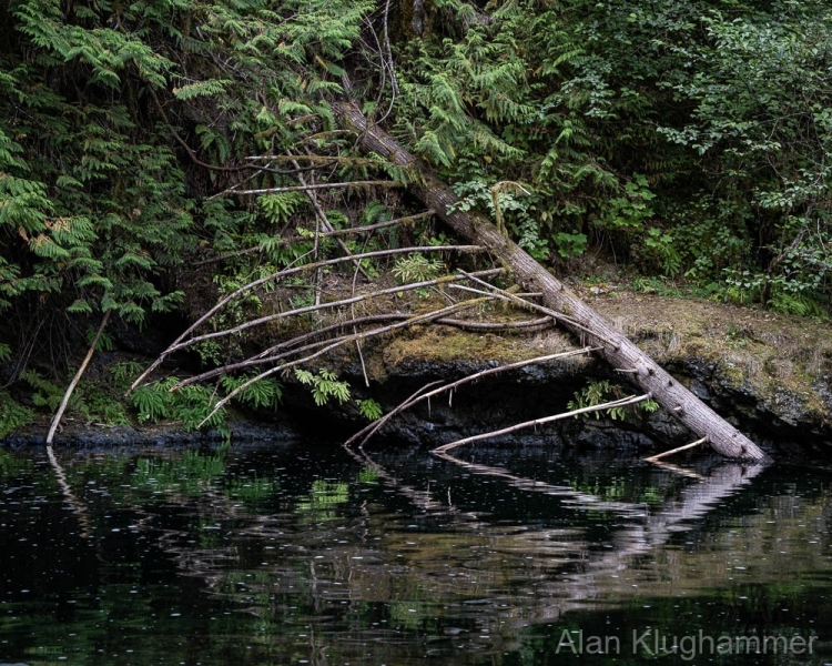 AlanKlughammer.com_20250911-_AZ74431