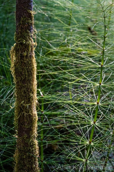 AlanKlughammer.com_20250911-_AZ74446