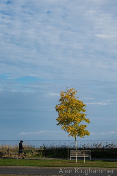 AlanKlughammer.com_20250912-_AZ74453