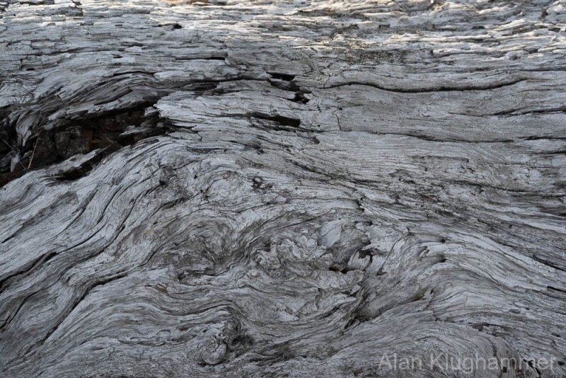 AlanKlughammer.com_20250912-_AZ74462