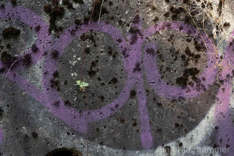 AlanKlughammer.com_20250913-_AZ74632