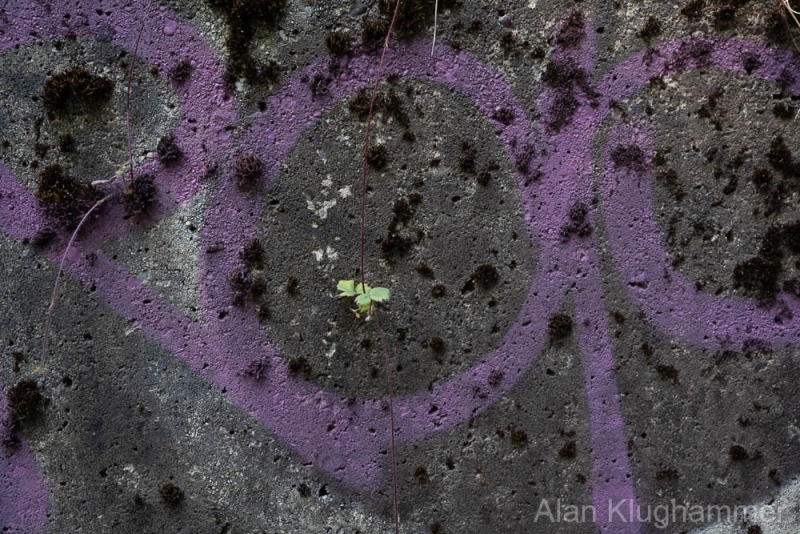 AlanKlughammer.com_20250913-_AZ74633