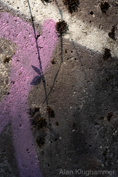 AlanKlughammer.com_20250913-_AZ74636