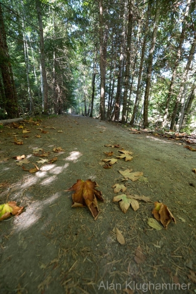 AlanKlughammer.com_20250913-_AZ74651