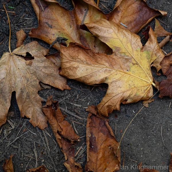 AlanKlughammer.com_20250913-_AZ74665