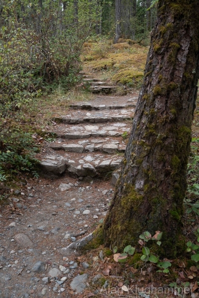 AlanKlughammer.com_20250915-_AZ74720