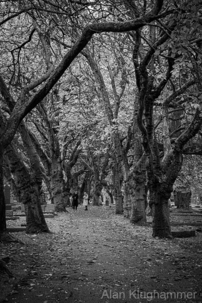 AlanKlughammer.com_20251011-_8506296