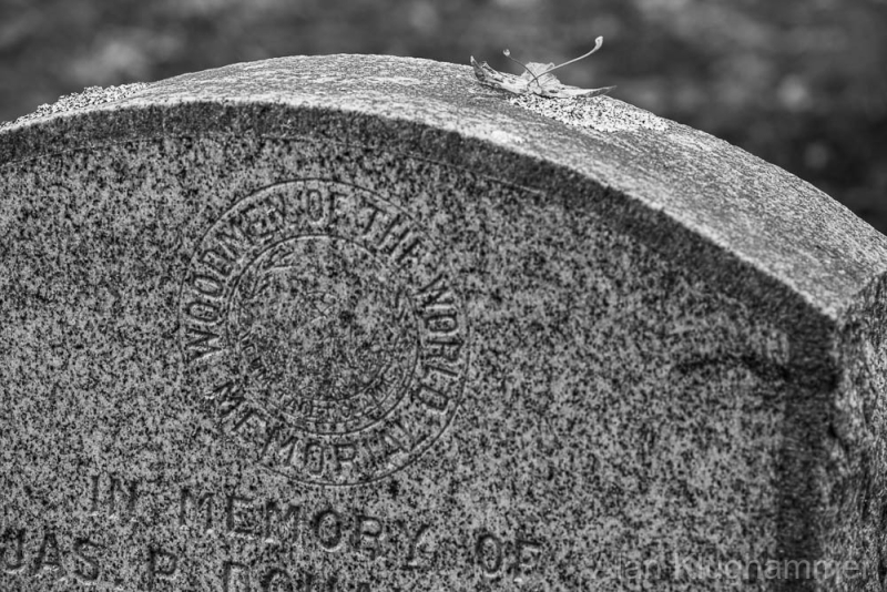 AlanKlughammer.com_20251011-_8506325