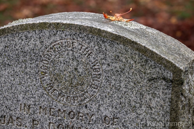 AlanKlughammer.com_20251011-_8506325