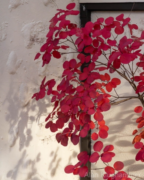 AlanKlughammer.com_20251020-_AZ74921