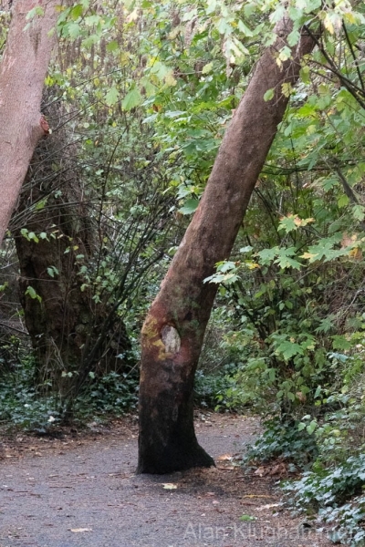 AlanKlughammer.com_20251020-_AZ74933