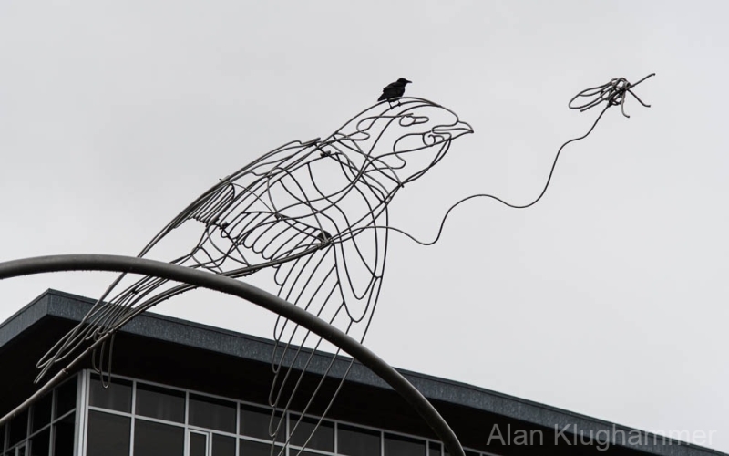 AlanKlughammer.com_20251122-_8506494