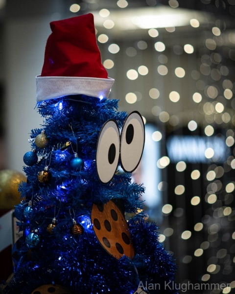 AlanKlughammer.com_20251129-_AZ75040