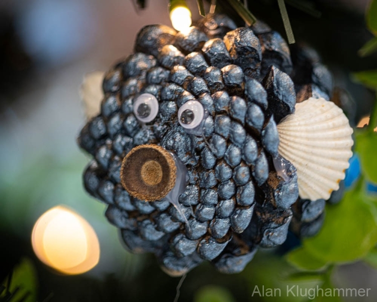 AlanKlughammer.com_20251129-_AZ75049