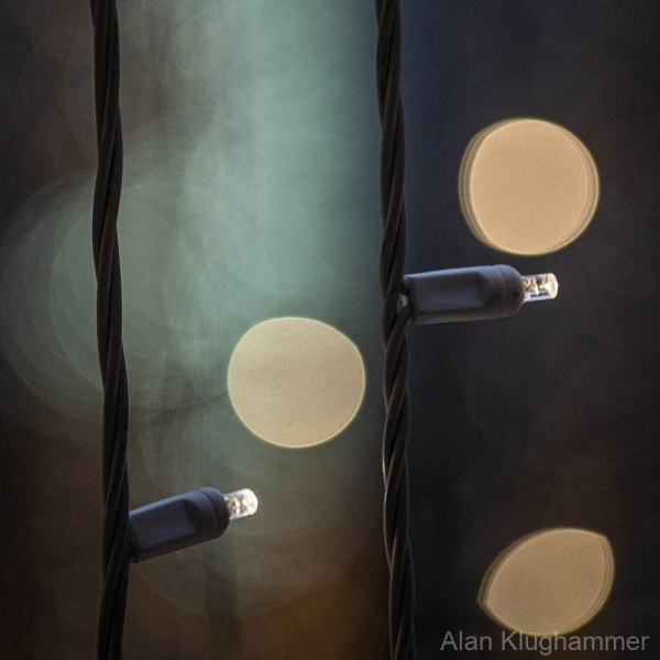 AlanKlughammer.com_20251129-_AZ75054