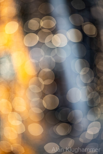 AlanKlughammer.com_20251129-_AZ75069