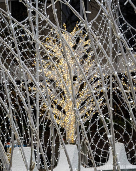 AlanKlughammer.com_20251203-_AZ75093