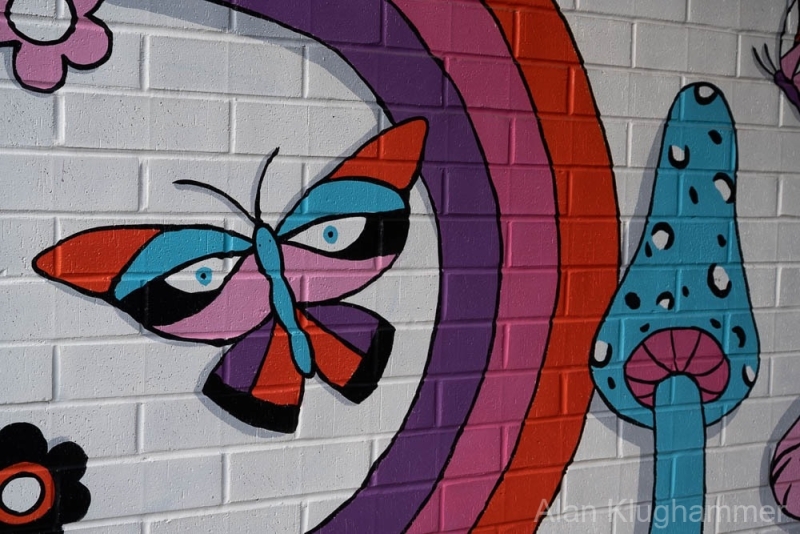 AlanKlughammer.com_20251226-_AZ75118